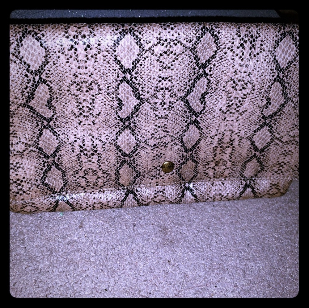 Snakeskin Clutch Purse